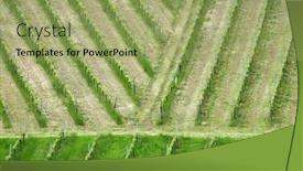 Presentation with vineyard - Slide set with vineyard-on-an-austrian-countryside background and a mint green colored foreground