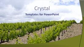  Presentation with vineyard - Beautiful presentation design featuring vineyard-on-an-overcast-day backdrop and a sky blue colored foreground