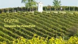  Presentation with czech republic - Audience pleasing PPT layouts consisting of vineyard-southern-moravia-czech-republic backdrop and a tawny brown colored foreground