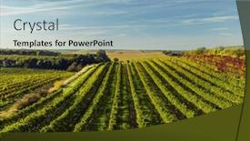  Presentation with vineyard - Theme consisting of vineyard-with-hibernal-near-cejkovice background and a light blue colored foreground