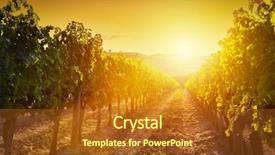  Presentation with tuscany - Slide set having vineyard wonderful landscape in tuscany background and a tawny brown colored foreground