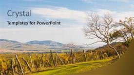  Presentation with czech republic - Amazing presentation having vineyards-and-mikulov-in-palava backdrop and a light blue colored foreground