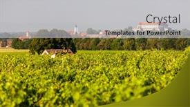  Presentation with hungary - Colorful PPT layouts enhanced with vineyards-and-siklos-castle-hungary backdrop and a light gray colored foreground