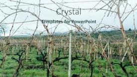  Presentation with vineyards - Slide deck enhanced with vineyards-and-vineyards-on-mount background and a sky blue colored foreground