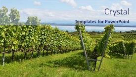  Presentation with lake sebu philippines - Slide set consisting of vineyards-at-neuchatel-lake-switzerland background and a sky blue colored foreground