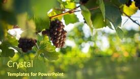  Presentation with harvest - PPT theme with vineyards-at-sunset-in-autumn background and a tawny brown colored foreground