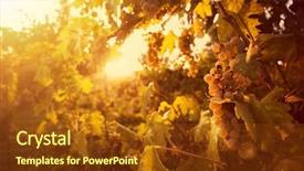  Presentation with vineyards - PPT theme with vineyards at sunset in autumn background and a tawny brown colored foreground