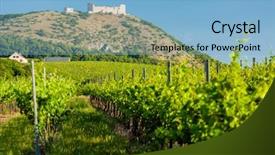  Presentation with czech republic - Cool new presentation with vineyards castle devicky palava moravia backdrop and a light blue colored foreground