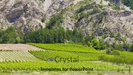  Presentation with vineyards - Presentation design having vineyards-drome-department-rhone-alpes background and a gold colored foreground
