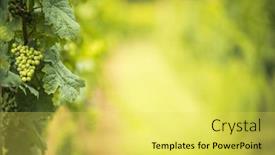  Presentation with vineyards - Slide deck enhanced with vineyards-for-the-production background and a yellow colored foreground