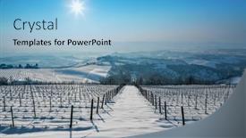  Presentation with sky sun - PPT layouts having vineyards-in-a-row background and a light blue colored foreground