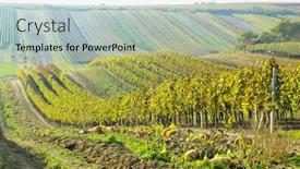 Presentation with vineyards - Cool new presentation theme with vineyards-in-cejkovice-region-czech backdrop and a lemonade colored foreground