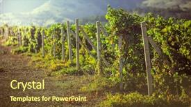  Presentation with vineyards - PPT layouts with vineyards in crimea beautiful landscape background and a tawny brown colored foreground