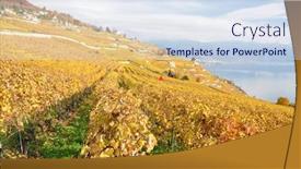  Presentation with region - Colorful slides enhanced with vineyards-in-lavaux-region-switzerland backdrop and a sky blue colored foreground