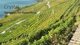  Presentation with switzerland - Beautiful PPT theme featuring vineyards-in-lavaux-switzerland backdrop and a yellow colored foreground