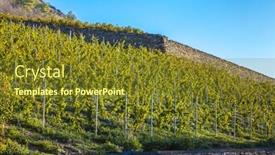  Presentation with region - PPT theme enhanced with vineyards-in-sion-region-canton background and a tawny brown colored foreground