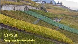  Presentation with region - Slide deck having vineyards-in-sion-region-canton background and a tawny brown colored foreground