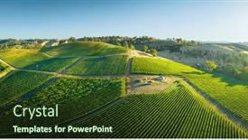  Presentation with vineyards - PPT theme enhanced with vineyards-in-the-adelaide-hills background and a tawny brown colored foreground