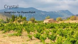  Presentation with vineyards - Presentation design featuring vineyards-in-the-wine-region background and a light blue colored foreground