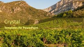  Presentation with vineyards - Presentation theme consisting of vineyards-in-the-wine-region background and a tawny brown colored foreground