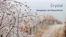  Presentation with vineyards - Presentation design featuring vineyards-in-winter-znojmo-region background and a sky blue colored foreground