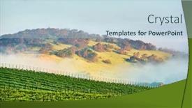  Presentation with vineyards - Colorful slide set enhanced with vineyards-landscape-in-california-usa backdrop and a sky blue colored foreground
