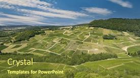  Presentation with vineyards - Presentation theme enhanced with vineyards-near-chateau-chalon-department background and a tawny brown colored foreground