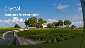  Presentation with vineyards - PPT theme featuring vineyards-near-chateau-pichon-longuevilleu background and a teal colored foreground