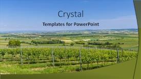  Presentation with vineyards - Theme featuring vineyards-near-mailberg-lower-austria background and a light blue colored foreground
