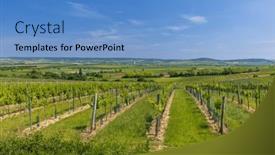  Presentation with vineyards - Presentation theme with vineyards-near-mailberg-lower-austria background and a teal colored foreground