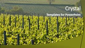  Presentation with vineyards - Theme consisting of valley is main wine - vineyards near montsoreau pays-de-la-loire france background and a violet colored foreground