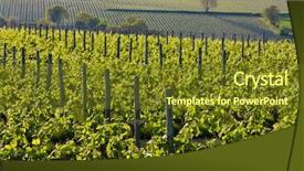  Presentation with vineyards - Presentation having valley is main wine - vineyards near montsoreau pays-de-la-loire france background and a tawny brown colored foreground