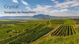  Presentation with vineyards - Presentation theme having vineyards-near-nove-mlyny-reservoir background and a light blue colored foreground