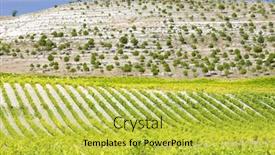  Presentation with vineyards - Beautiful slides featuring vineyards-near-villabanez-valladolid-province backdrop and a yellow colored foreground