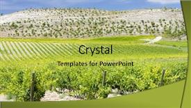  Presentation with vineyards - Presentation having vineyards-near-villabanez-valladolid-province background and a yellow colored foreground