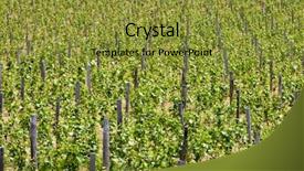  Presentation with vineyards - Cool new presentation design with vineyards of cote maconnais region near ige burgundy france backdrop and a gold colored foreground