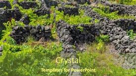  Presentation with vineyards - Presentation with vineyards-on-the-island background and a tawny brown colored foreground