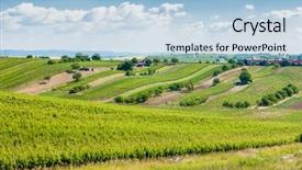  Presentation with czech republic - PPT theme consisting of vineyards palava moravia region czech background and a light blue colored foreground