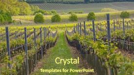  Presentation with cordillera ar region - Cool new PPT layouts with vineyards palava moravia region czech backdrop and a tawny brown colored foreground