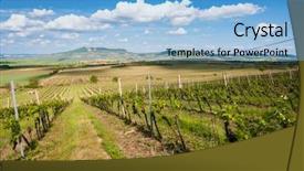  Presentation with region 3 - Cool new theme with vineyards palava moravia region czech backdrop and a light blue colored foreground