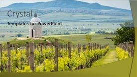  Presentation with vineyards - Theme having vineyards-palava-region-south-moravia background and a light blue colored foreground