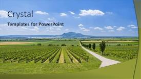  Presentation with vineyards - Presentation theme with vineyards-under-palava-near-sonberk background and a light blue colored foreground