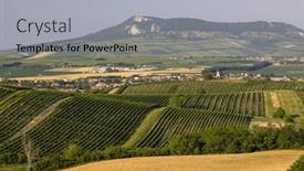  Presentation with vineyards - 