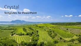  Presentation with vineyards - Slides enhanced with vineyards-under-palava-southern-moravia background and a light blue colored foreground
