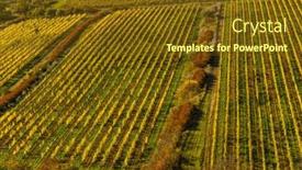  Presentation with vineyards - Slide deck with vineyards-under-palava-southern-moravia background and a tawny brown colored foreground