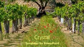  Presentation with california - Slide deck consisting of vineyards-with-castle-in-california background and a tawny brown colored foreground