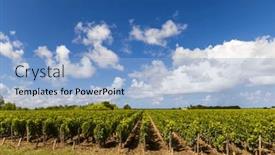  Presentation with vineyards - Slide deck having vineyards-with-chateau-cos-d background and a light blue colored foreground