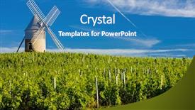  Presentation with vineyards - Presentation theme with vineyards with windmill near chenas beaujolais burgundy france background and a teal colored foreground