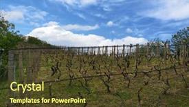  Presentation with croatia - Presentation design enhanced with vineyardsin slavonia region landscape croatia background and a tawny brown colored foreground
