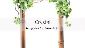  Presentation with liana - Beautiful PPT theme featuring vintage-bamboo-frame-with-liana backdrop and a white colored foreground